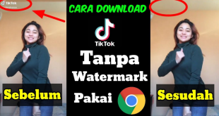 Cara Download Video Di Tiktok Tanpa Watermark Dengan Mudah
