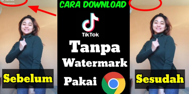 Cara Download Video Di Tiktok Tanpa Watermark Dengan Mudah